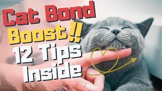 🐱❤️Purr-fectly Connected: 12 Sneaky Tips to Strengthen Your Cat Bond