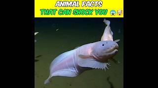 Jaw-Dropping Global Facts You Wont Believe Exist