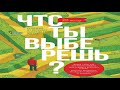 Книга Бен-Шахар Тала «Что ты выберешь? Решения, от которых зависит твоя жизнь» в кратком изложении