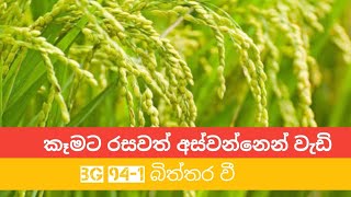 BG 94-1  රසවත් අස්වැන්න වැඩි වගාවකට කැමති ඔබට