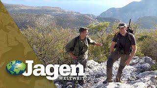 Bergjagd in Kroatien auf Mähnenspringer und Muffelwidder - PareyGo Classics