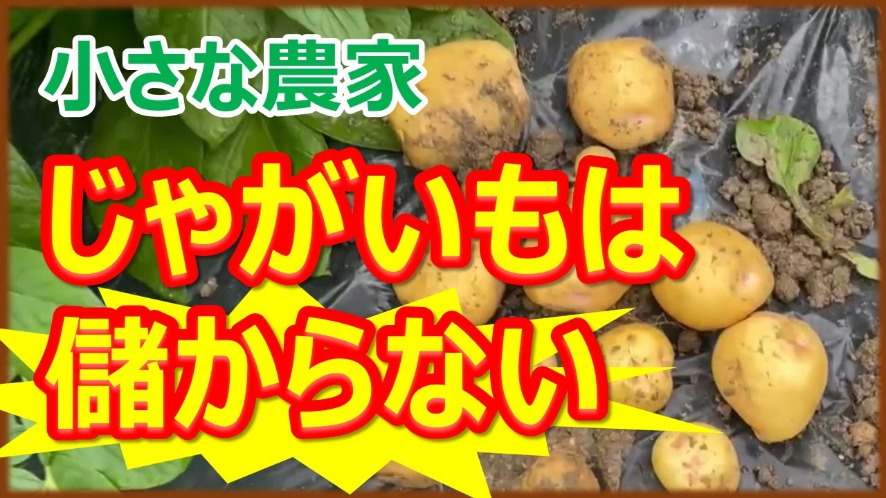 じゃがいもは儲からない　土地利用型農業と労働集約型農業