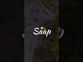 SAAP🥱🐍