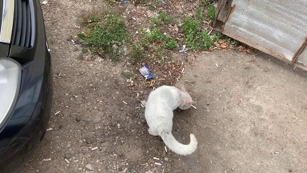 Led лампы в туманки.прошика евро 2,замена лампочек в приборной панели ...