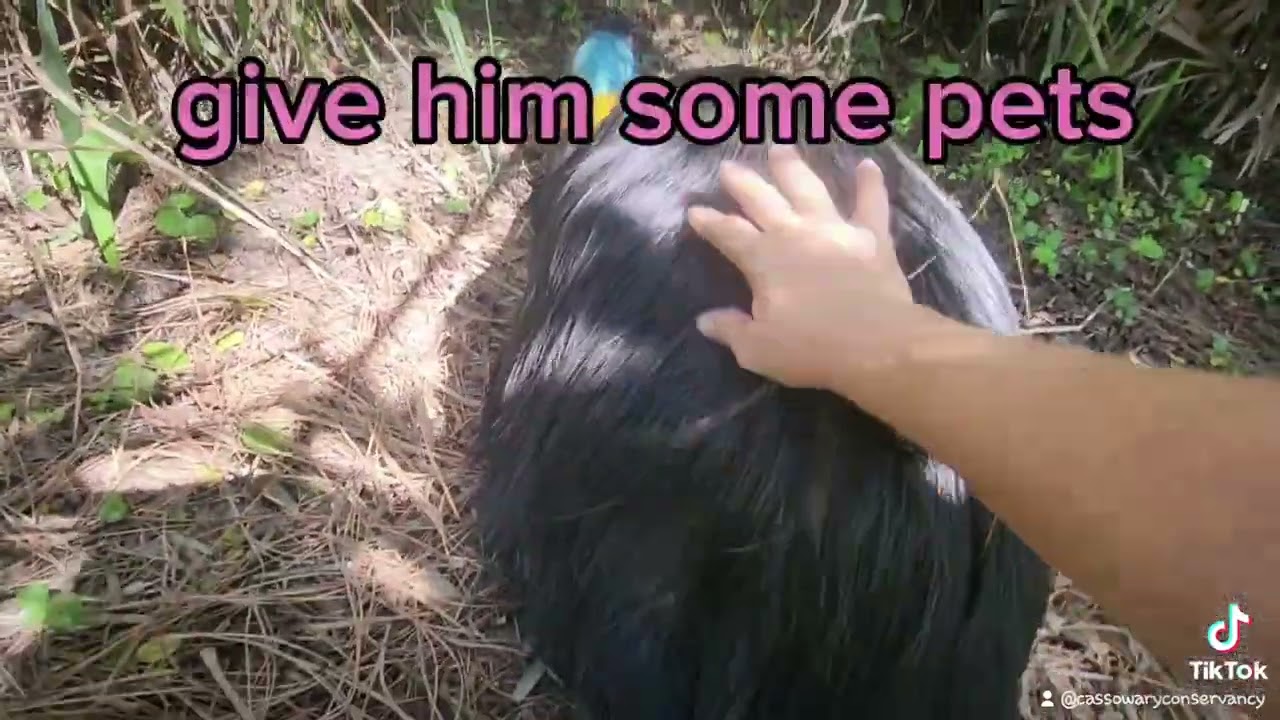 Adventure Time Egg Steal!