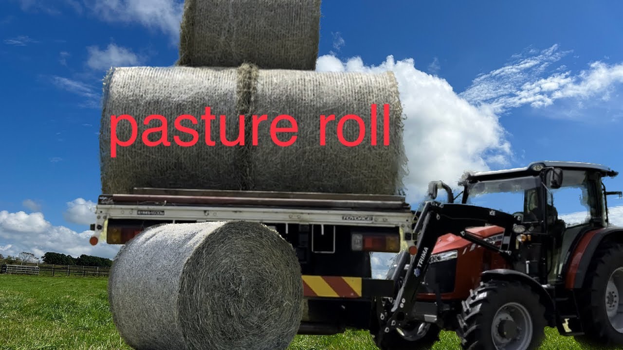 Pasture grass rolls for pasture - YouTube