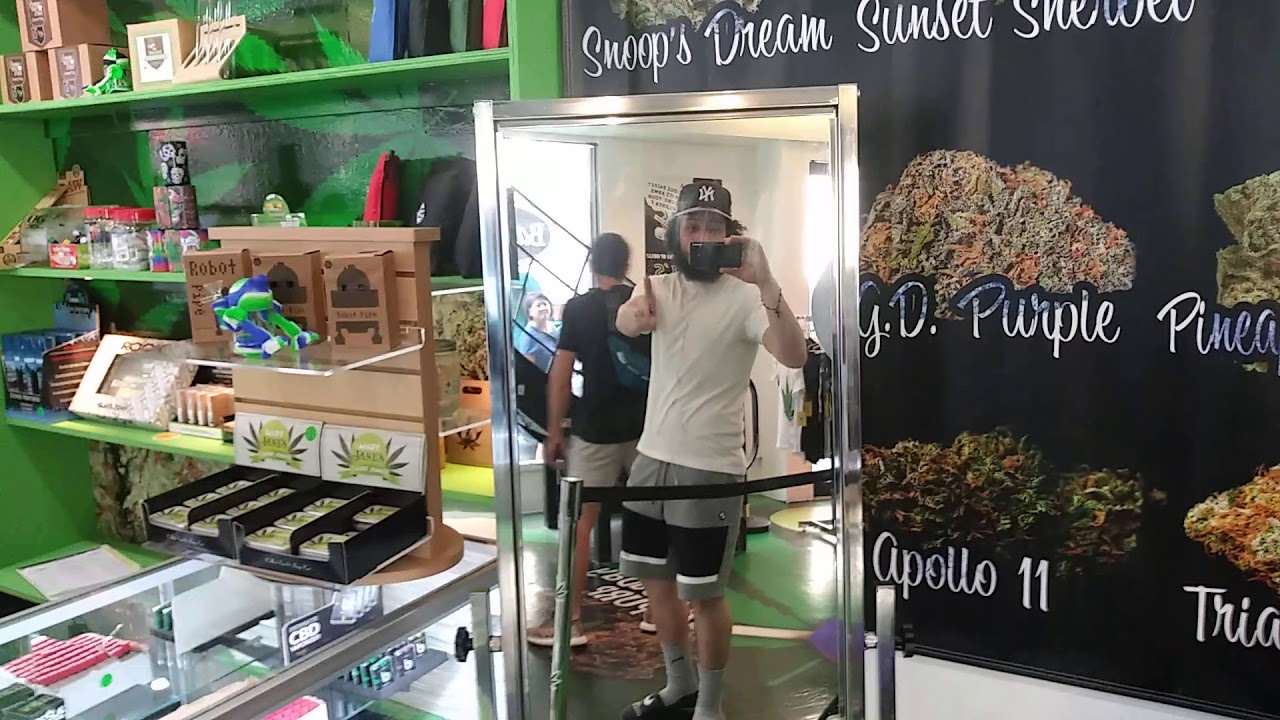 Weed World 🌎 New York City YouTube