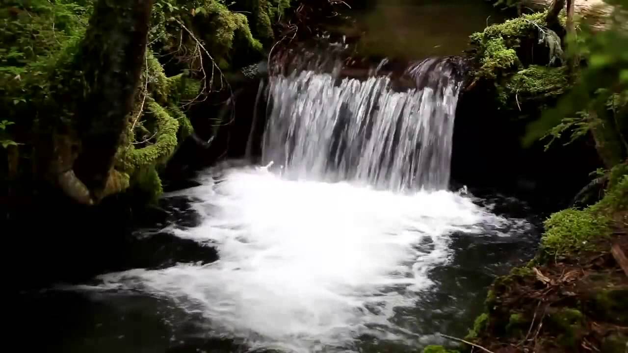 Life - Water, Design - Water - YouTube