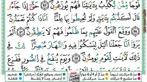 (مكررة) حفظ سورة النمل (18) للقارئ الشيخ محمد سايد