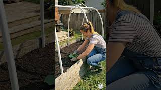 DIY Organic Arch Planting Bed in Backyard Garden | Cucumbers &amp; Romaine Lettuce #cucumber #lettuce