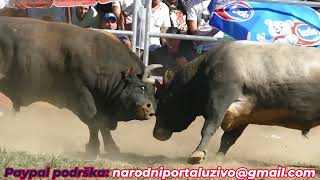 Gareša Od Bajre Vs Ub Od Zireta Goduša 2025