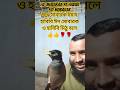ঈদ মোবারক এ হাবিবি ঈদ মোবারক #birds #shortvideo