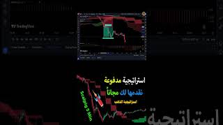 أفضل استراتيجية تداول سوف تستخدمها