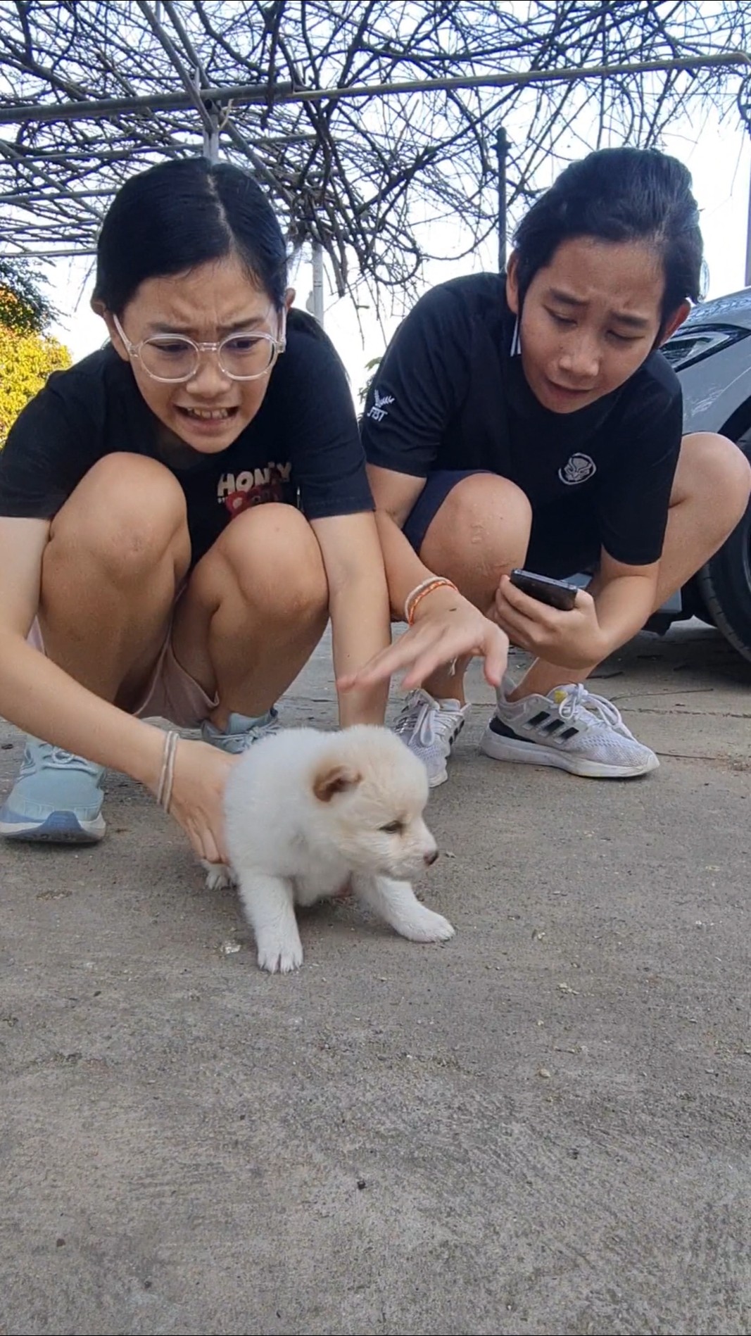 Cute Puppy‼️ and Clumsy Owner❤️? | JJaiPan #Shorts