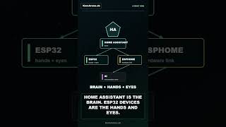 I'm Building My Own AI Home Assistant