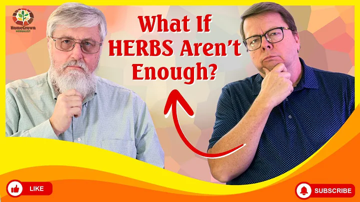4 Questions you MUST ask before using herbs