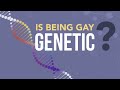 Is Being Gay Genetic? - Dr. Christopher Yuan