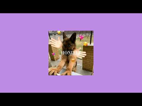 ARABIC SONG VIRAL DI TIKTOK TERBARU FULL ALLBUM π΅