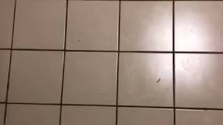 Celebrity Highly caffeinated Diet explanation Net Worth