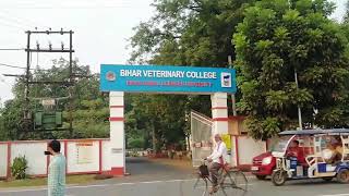 Bihar Veterinary College, Patna | Bihar Animal science University | Veterinary college patna