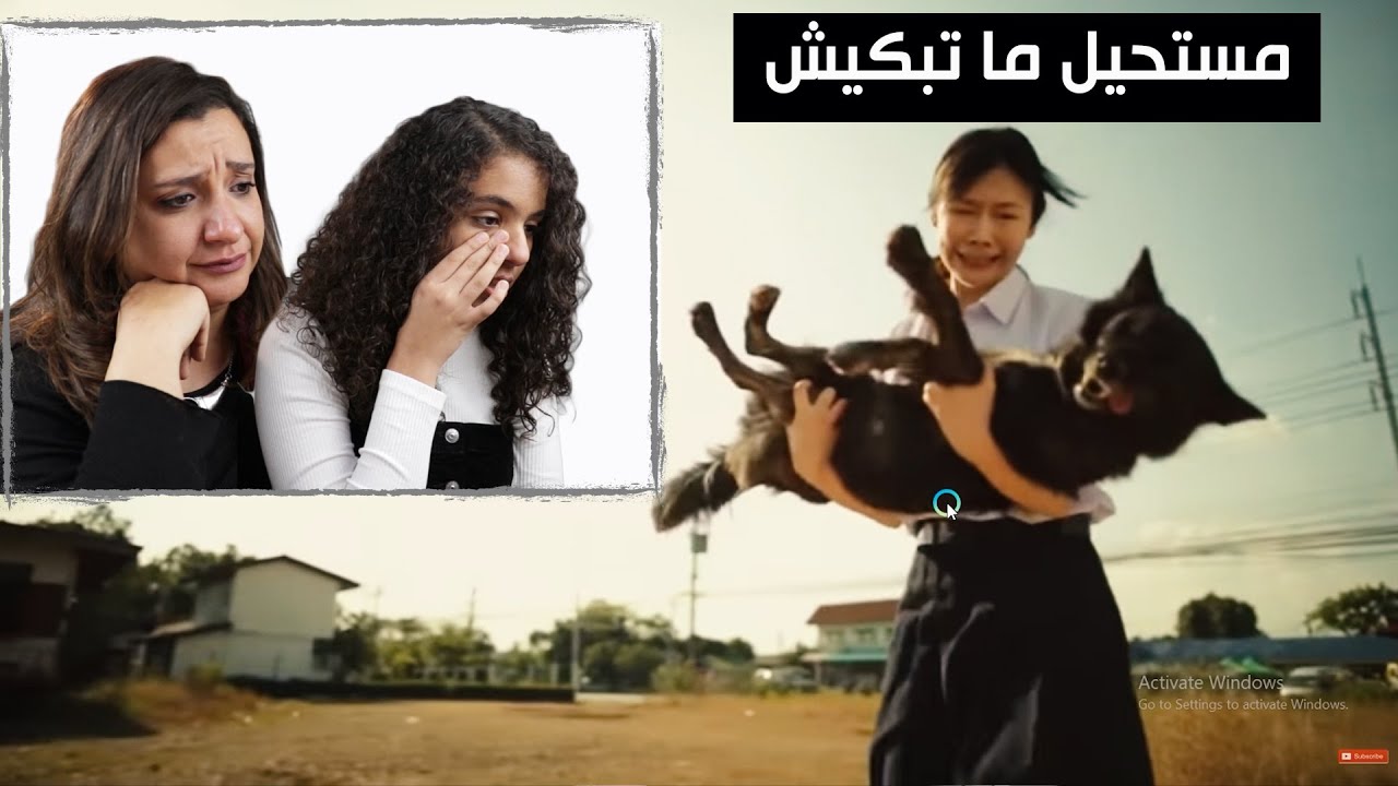 اتحداك تشوف المقاطع دى و ماتبكيش #نور_ريآكت