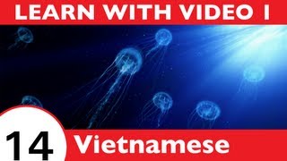 ⁣Learn Vietnamese with Video - Have a Whale of a Time with VietnamesePod101.com!!