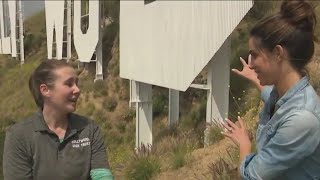 Jenn At Work: Fixing the Hollywood Sign