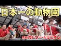 【新企画始動】日本一の動物園をつくります！