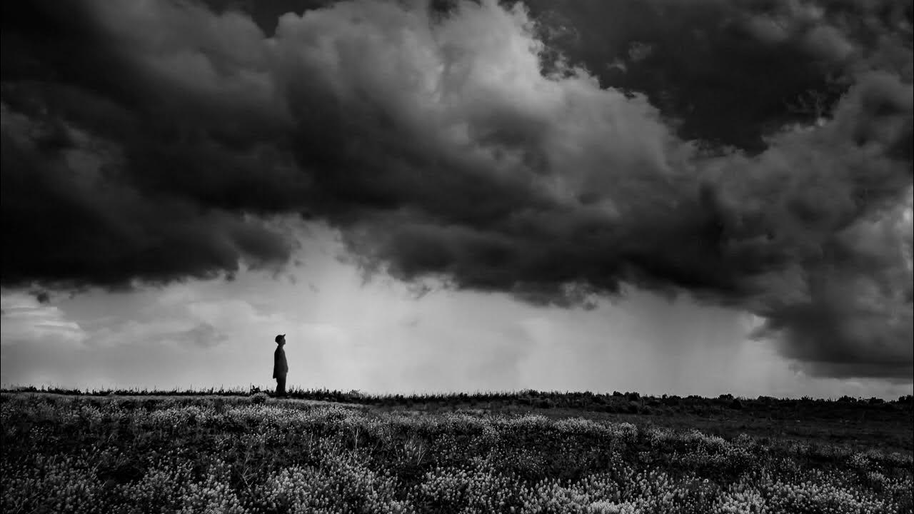 Грусть картинки. Лунная ночь на море. Дерево на обрыве. Одинокий парень у моря. Одиночество иллюстрация.