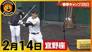 【春季キャンプ2023・宜野座】2月14日