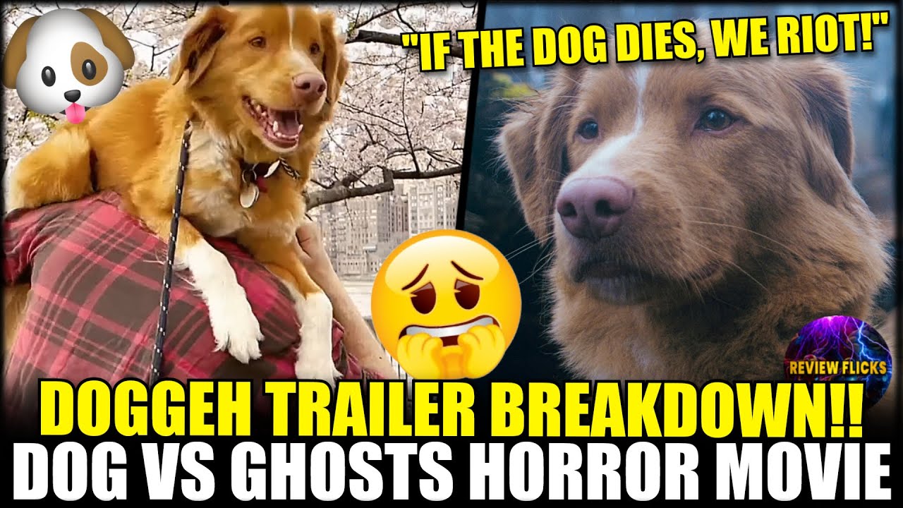 Good Boy Trailer Dog vs Ghosts in Haunted House Horror | Trailer Breakdown