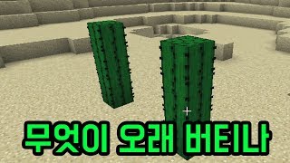 선인장 위에마인크래프트