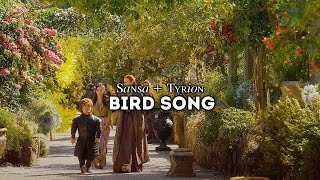 Sansa + Tyrion | Bird Song
