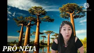 Vídeo de Lenda Do Baobá