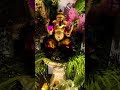 At sonartori#you tobe #shorts#video