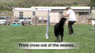 Weave Challenge - Recall through the weaves