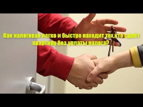 Как налоговая легко и быстро находит тех, кто сдаёт квартиру без уплаты налога?