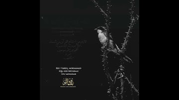 "ذكرى وماكنا ظالمين"من روائع القارئ/طارق محمد..من سورة الشعراء🌻تدبَّر🌻