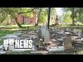 The Fight to Protect Washington, D.C.'s Historic Black Burial Grounds