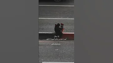 محمد رضا شجريان اين ذهب حبيبي يوسف اقتباسات اكسبلور شعر شعر عراقي لايك 