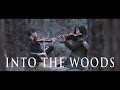 "Into the Woods" Instrumental Medley - Albert and Tiffany Chang