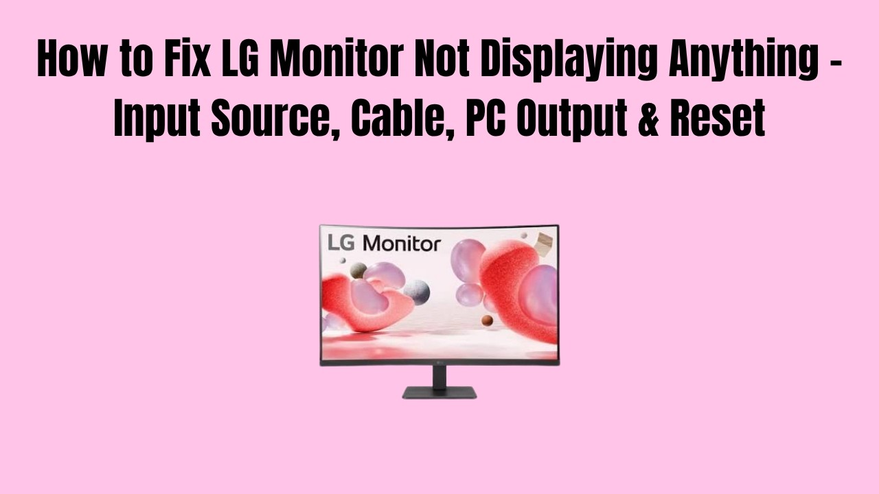 LG monitor cable connection order DisplayPort HDMI DVI diagram