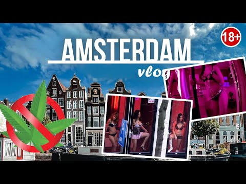 Video: Amsterdamda dekabr: Hava və Hadisə Bələdçisi