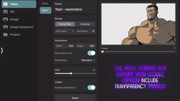 Toonsquid Tutorial - How to export your animation with a transparent background ?