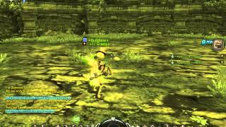 Invisible Mob In Chaos Opening Baera?