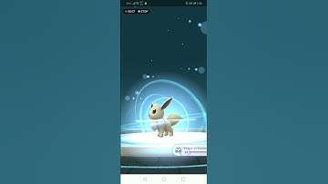 evolving my shiny Eevee to shiny flareon