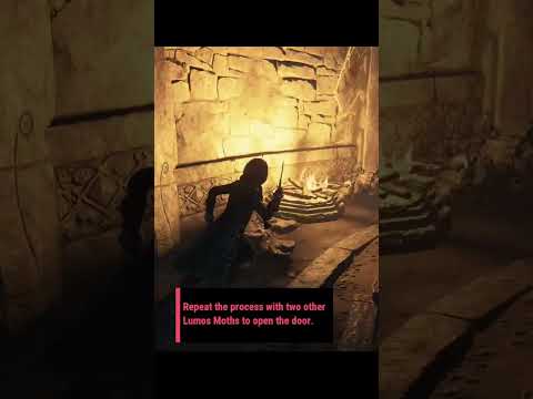 Lumos Moth Puzzle #2