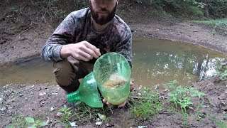 Homemade DIY Minnow Trap - Minnow Trapping in TINY CREEK 