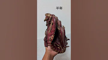 お父さんに買ってもらったグローブアジエグいw 野球 グローブ ミズノ 