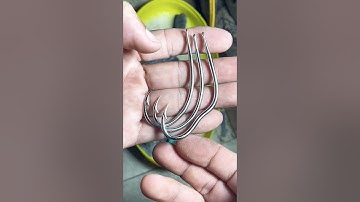 Lưỡi Câu Cá Lóc Rừng Heo Dầu 2,8mm-3,2mm Huỳnh Kiệt Cà Mau ĐTZalo: 0919111169